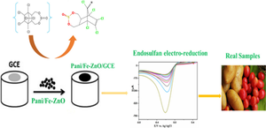 Simple and rapid electrochemical determination of endosulfan in vegetables by polyaniline/Fe-ZnO nanocomposite-modified glassy carbon electrode