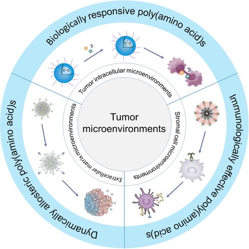 Bioactive poly(amino acid)s for multi-modal cancer therapy.