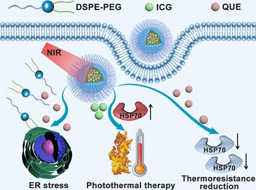 Coadministration of Quercetin and Indocyanine Green via PEGylated Phospholipid Micelles for Augmented Chem-Photothermal Combination Tumor Therapy.