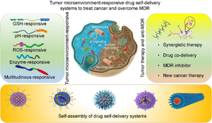 Tumor microenvironment-responsive drug self-delivery systems to treat cancer and overcome MDR