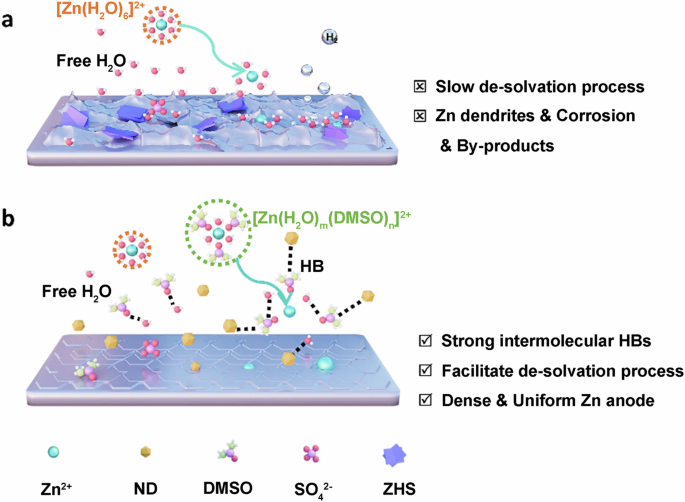 A dual-functional electrolyte additive displaying hydrogen bond fusion enables highly reversible aqueous zinc ion batteries