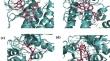 Natural product-derived ALK inhibitors for treating ALK-driven lung cancers: an in silico study.