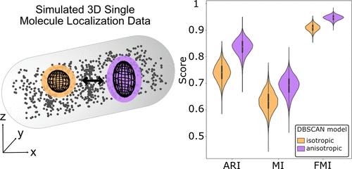 Anisotropic DBSCAN for 3D SMLM Data Clustering.