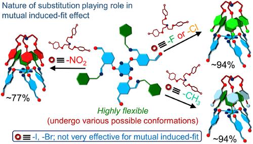 Effect of substituents on mutual induced-fit process, responsible for effective hydrogen-bonded capsule formation