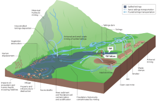 Tailings storage facilities, failures and disaster risk