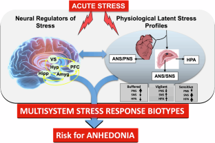 Multisystem stress response biotypes: a precision psychiatry approach to identifying and treating multidimensional risk factors for anhedonia in adolescence.