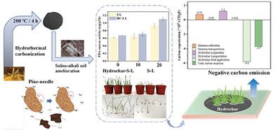 Hydrochar Utilization for Saline‐Alkali Soil Amelioration and Its Carbon Sequestration Potential Assessment