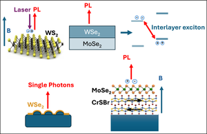 Excitons in two-dimensional materials and heterostructures: Optical and magneto-optical properties