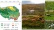 Bacteria-Like Gaiella Accelerate Soil Carbon Loss by Decomposing Organic Matter of Grazing Soils in Alpine Meadows on the Qinghai-Tibet Plateau.