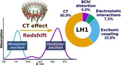 Prominent Role of Charge Transfer in the Spectral Tuning of Photosynthetic Light-Harvesting I Complex