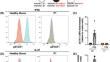 A Novel Case of IFNAR1 Deficiency Identified a Common Canonical Splice Site Variant in DOCK8 in Western Polynesia: The Importance of Validating Variants of Unknown Significance in Under-Represented Ancestries.