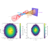 Dependence of the number-weighted angular distribution of Compton-scattered photon beams on the laser intensity