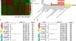 PTBP1-mediated repression of neuron-specific CDC42 splicing constitutes a genomic alteration-independent, developmentally conserved vulnerability in IDH-wildtype glioblastoma