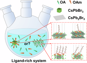 Evolution of perovskite nanocrystals in hot injection process with various ligand-rich systems