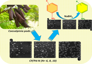 Synthesis and characterization of biowaste-derived porous carbon supported palladium: a systematic study as a heterogeneous catalyst for the reduction of nitroarenes