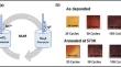 Effect of deposition cycle and annealing on the structural, optical, electrical, and photoluminescence properties of SnS films obtained from rapid S-SILAR technique