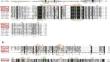 Evolutionary History of the DD41D Family of Tc1/Mariner Transposons in Two Mayetiola Species.