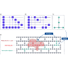 Symmetry-based quantum circuit mapping