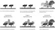 Soil quality indicators under five different cacao production systems and fallow in Alto Beni, Bolivia