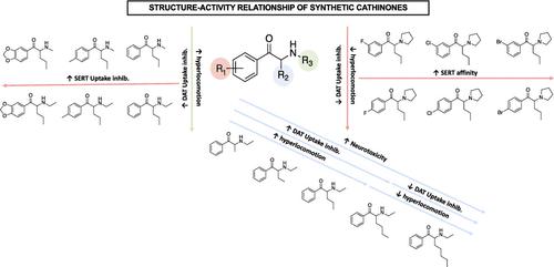 Structure–Activity Relationship of Synthetic Cathinones: An Updated Review