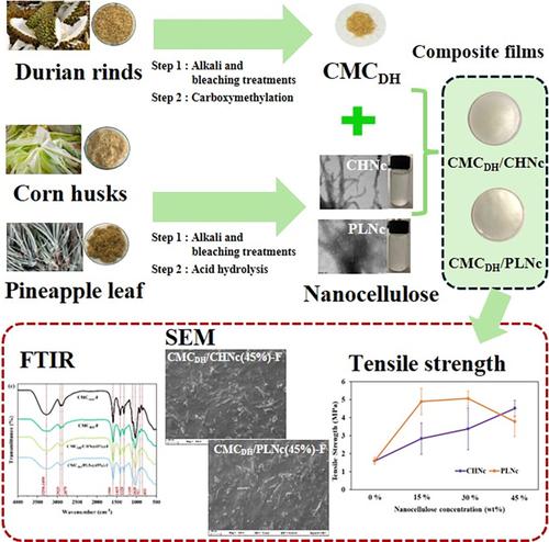 Preparation and Characterization of Durian Husk-Based Biocomposite Films Reinforced With Nanocellulose From Corn Husk and Pineapple Leaf.