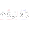 Computing the thermal transport coefficient of neutral amorphous polymers using exact vibrational density of states: Comparison with experiments