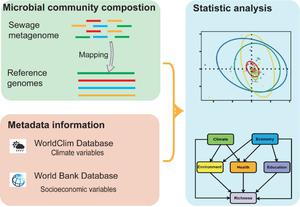 Socioeconomic drivers of the human microbiome footprint in global sewage