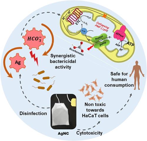 Water Disinfection: Unleashing the Power of Bicarbonate Ions in Chitosan–Silver Nanocomposite for Greener and More Efficient Silver Utilization