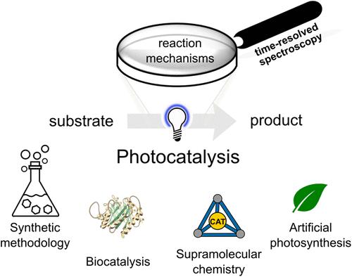 Challenges and Future Perspectives in Photocatalysis: Conclusions from an Interdisciplinary Workshop