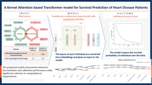 A Kernel Attention-based Transformer Model for Survival Prediction of Heart Disease Patients.