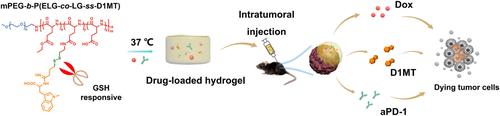 A GSH-Responsive Immune-Stimulating Polypeptide Hydrogel Loaded with Chemotherapeutics, IDO Inhibitor and Immune Checkpoint Blocking Antibody for Enhanced Anti-Tumor Chemo-Immunotherapy