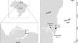 The function of mangrove transition zones on the population structure and fishery of the mangrove crab Ucides cordatus on the Brazilian Amazon coast