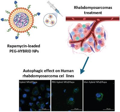 Nanostructured Hybrid Polymer-Lipid Drug Delivery Platforms for Rapamycin Repositioning in Anticancer Therapy