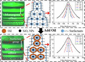 Oil resistivity of fluorine-free foams stabilized by silica nanoparticles and mixture of silicone and hydrocarbon surfactants