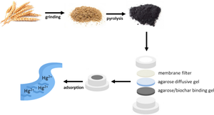 Application of biochar prepared from wheat bran as the binding phase in diffusive gradient in thin films technique for determination of mercury in natural waters