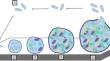 Microbial Succession on Microplastics in Wastewater Treatment Plants: Exploring the Complexities of Microplastic-Microbiome Interactions.