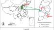 Study on the Influence of Phase Change Process on the Desorption Characteristics of Gas-Containing Anthracite in Phase Change Heat Storage Materials