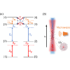 Restrictions of microwave electrometry due to nonlocal interactions in Rydberg atoms