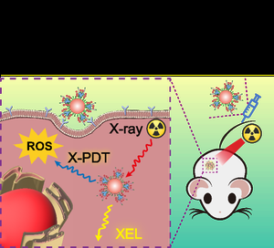 Copper iodine cluster nanoparticles for tumor-targeted X-ray-induced photodynamic therapy