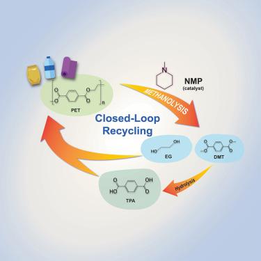 Chemical recycling of post-consumer polyester wastes using a tertiary amine organocatalyst