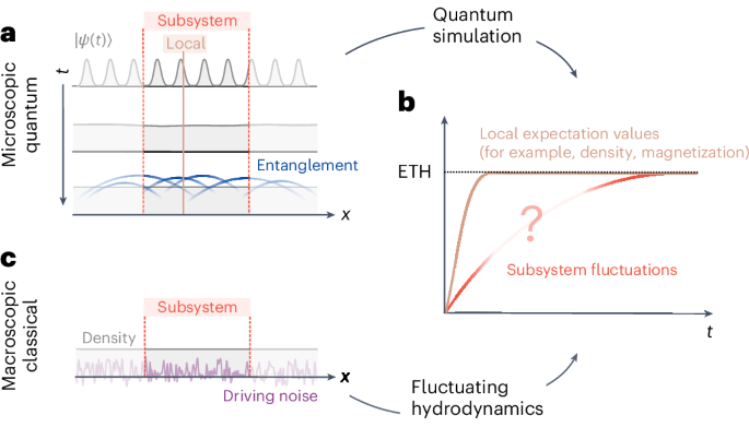 Emergence of fluctuating hydrodynamics in chaotic quantum systems