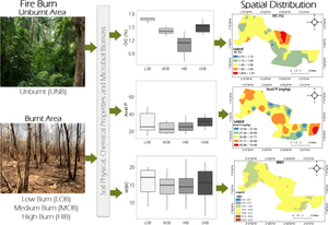 Impact of fire-burn on soil geochemical, microbial biomass and carbon stocks in a dry tropical forest ecosystem