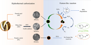 Activating Fenton-like reaction by hydrochars containing persistent free radicals derived from various pomelo peel components