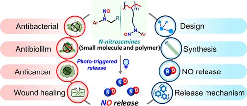 Recent Advancements in Polymeric <i>N</i>-Nitrosamine-Based Nitric Oxide (NO) Donors and their Therapeutic Applications.