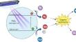 A simple and effective method coupling coagulation and UV/TiO2 photocatalysis for treating real-produced wastewater from oil processing