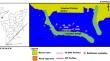 Exploring clay formation in the seabed of Colachel coastal area, southern Tamil Nadu, India: a geophysical and granulometric analysis