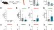 Chronic ethanol exposure decreases H3K27me3 in the Il6 promoter region of macrophages and generates persistent dysfunction on neutrophils during fungal infection.