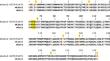 mKate2-K67R/R197H—Extra-Bright Red Fluorescent Biomarker of New Generation. X-Ray Structure and Molecular Dynamic Properties