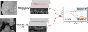 Polycarbonate ultrafiltration membrane modified with Mg–Al-layered double hydroxide nanoparticles for treatment of petroleum refinery wastewater