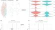 B Cells Infiltration Potentially Responded Better to Systemic Corticoids in Oral Lichen Planus and Oral Lichenoid Lesions.